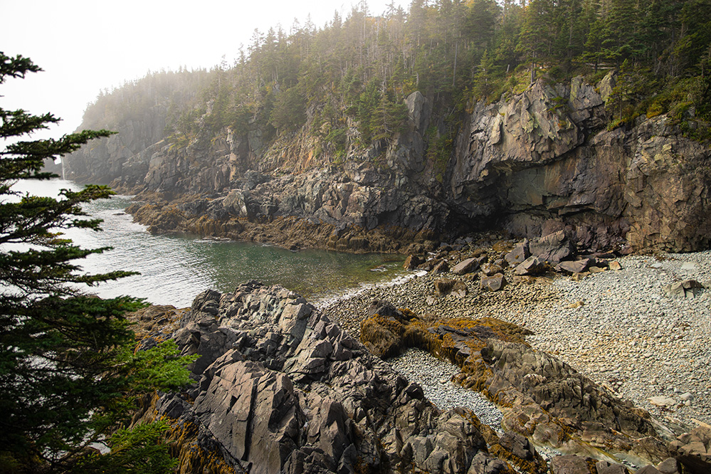 Coast of Maine picture